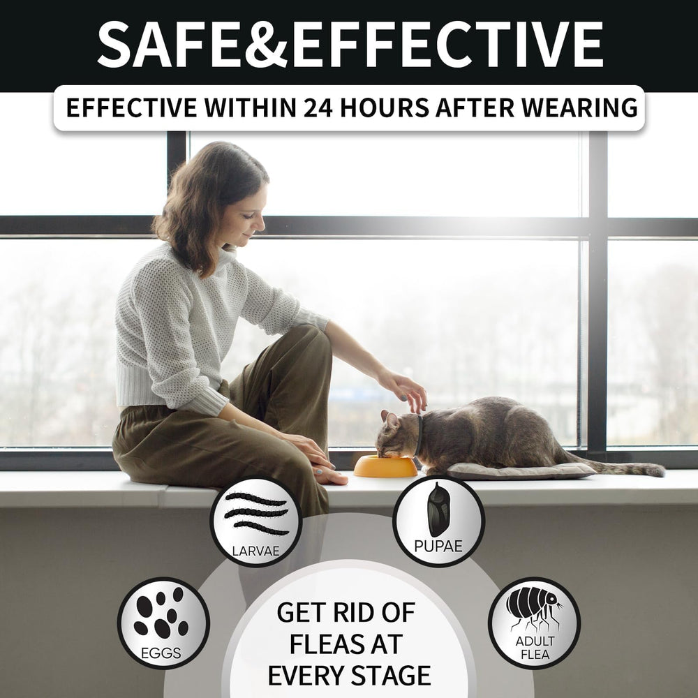 Collier VICSOM pour chat en silicone doux avec bord arrondi.