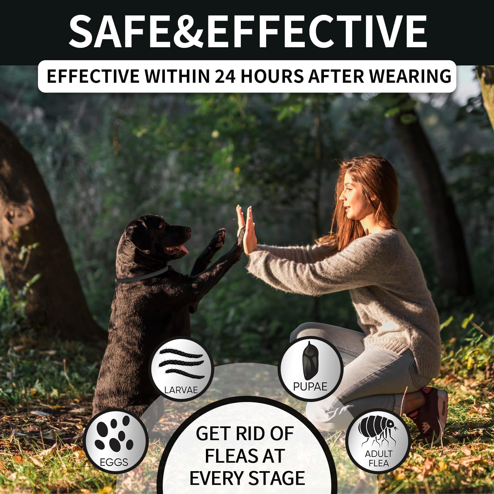 Collier VICSOM réglable jusqu’à 26 pouces pour chien, ajustement confortable.