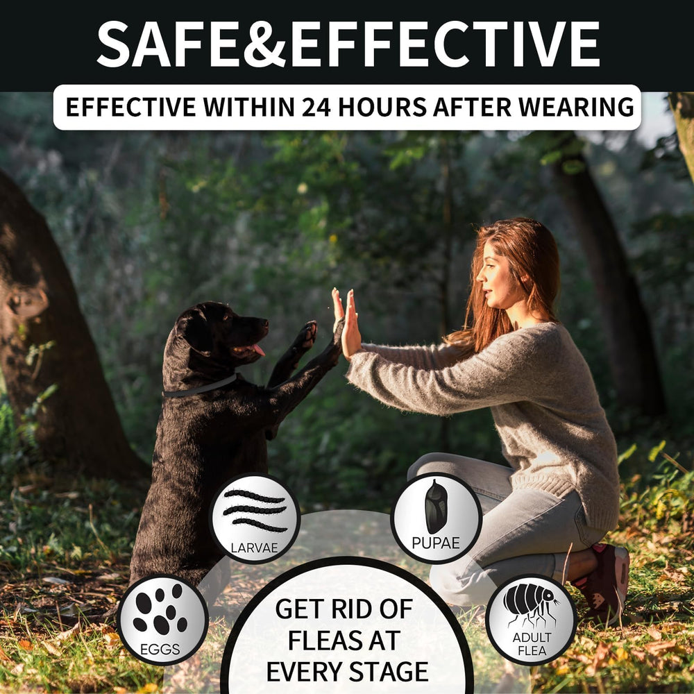 Collier VICSOM réglable jusqu’à 26 pouces pour chien, ajustement confortable.