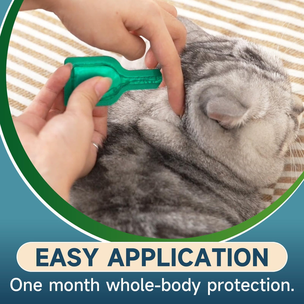 Protection de 30 jours avec VICSOM pour chat.
