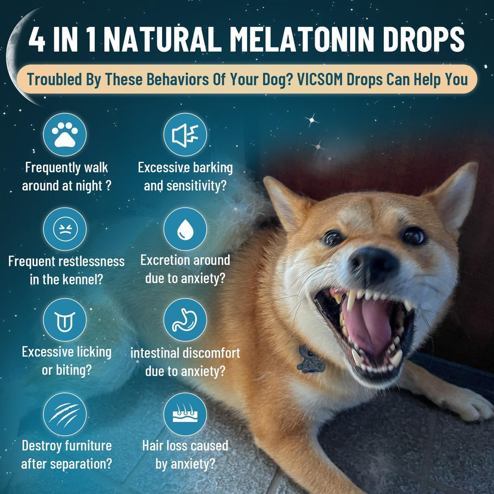 VICSOM gouttes-melatonine-chien-pipette, administration facile.