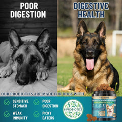VICSOM Digestif: graines de lin et probiotiques pour soutenir le confort digestif.