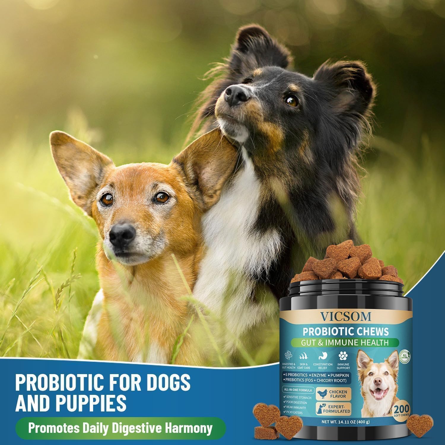 VICSOM 200 bouchées: conditionnement pratique et long terme pour chiens de toutes tailles.