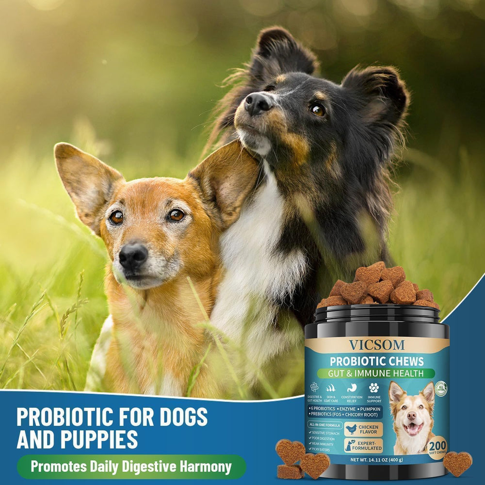 VICSOM 200 bouchées: conditionnement pratique et long terme pour chiens de toutes tailles.