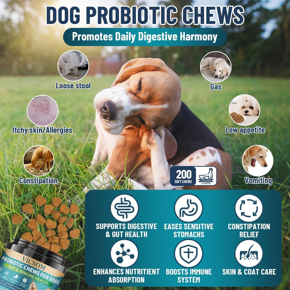 VICSOM Probiotiques chien: friandises saveur poulet pour encourager l'alimentation quotidienne.