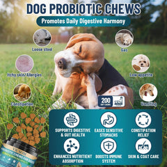 VICSOM Probiotiques chien: friandises saveur poulet pour encourager l'alimentation quotidienne.