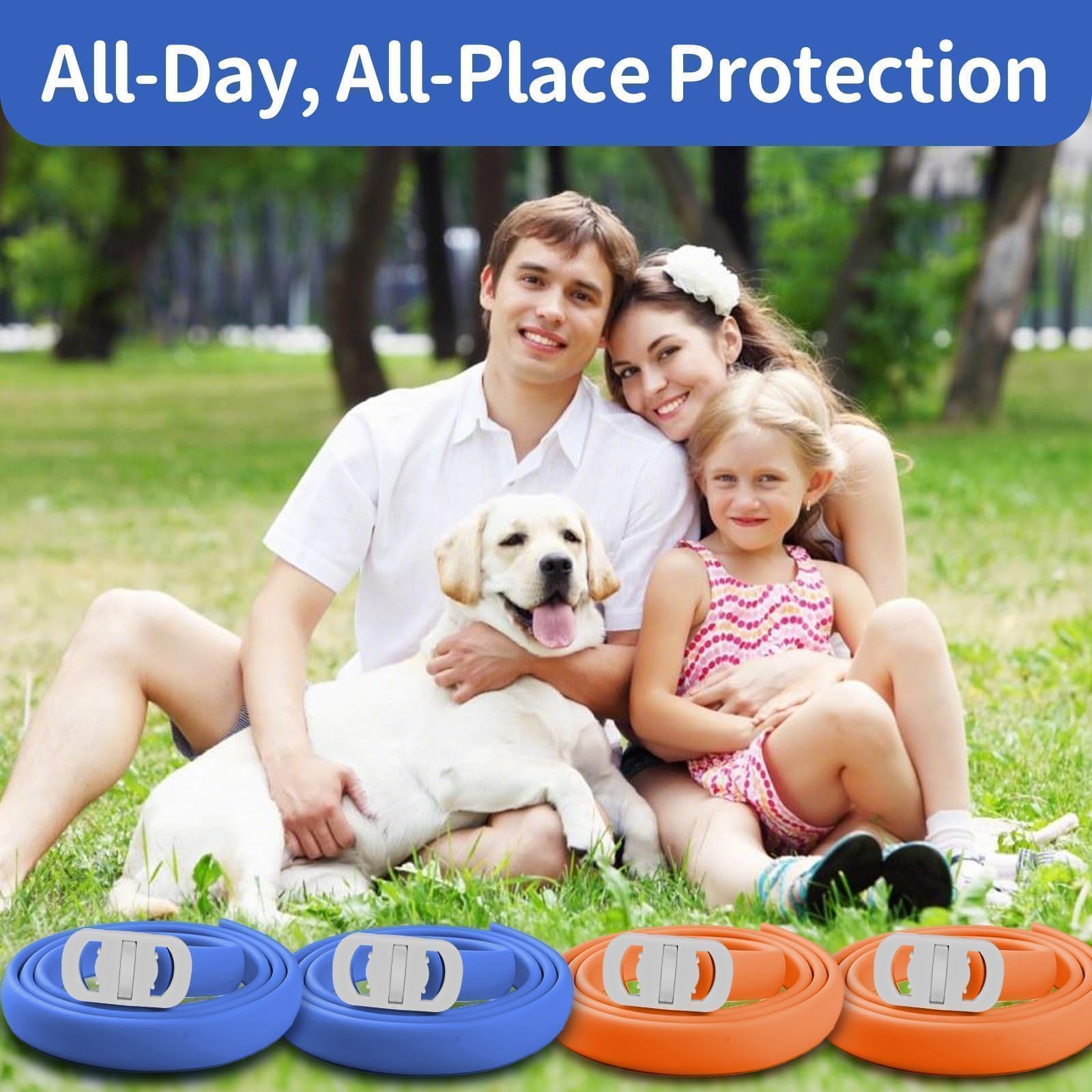Confort et sécurité du collier VICSOM lors des sorties avec chien.