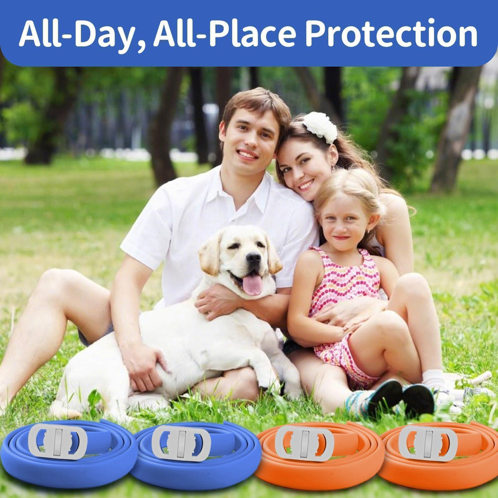 Confort et sécurité du collier VICSOM lors des sorties avec chien.