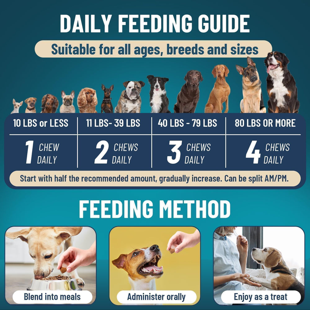 Usage quotidien VICSOM: chien mange facilement les friandises.