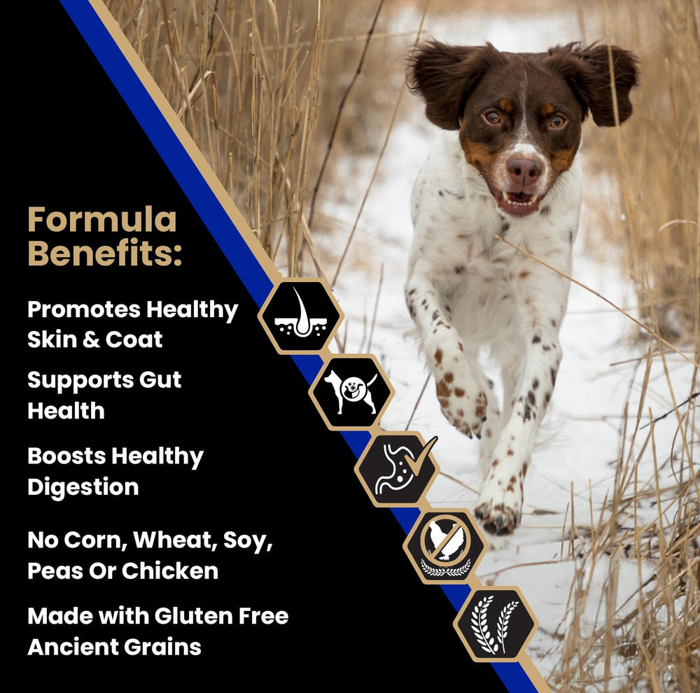 VICTOR alimentation sans gluten sans poulet pour chien sensible