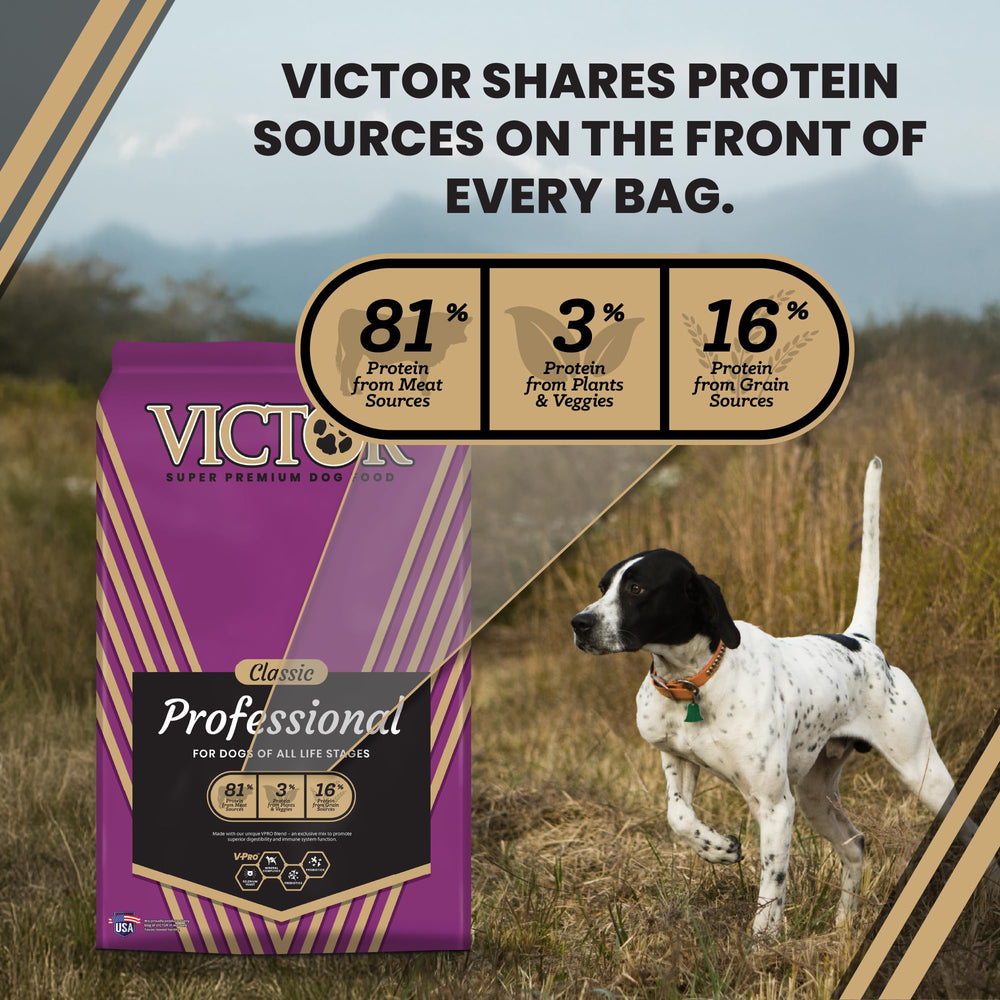 VICTOR blend-vpro-exclusif: soutien digestif et peau saine pour tous les chiens.