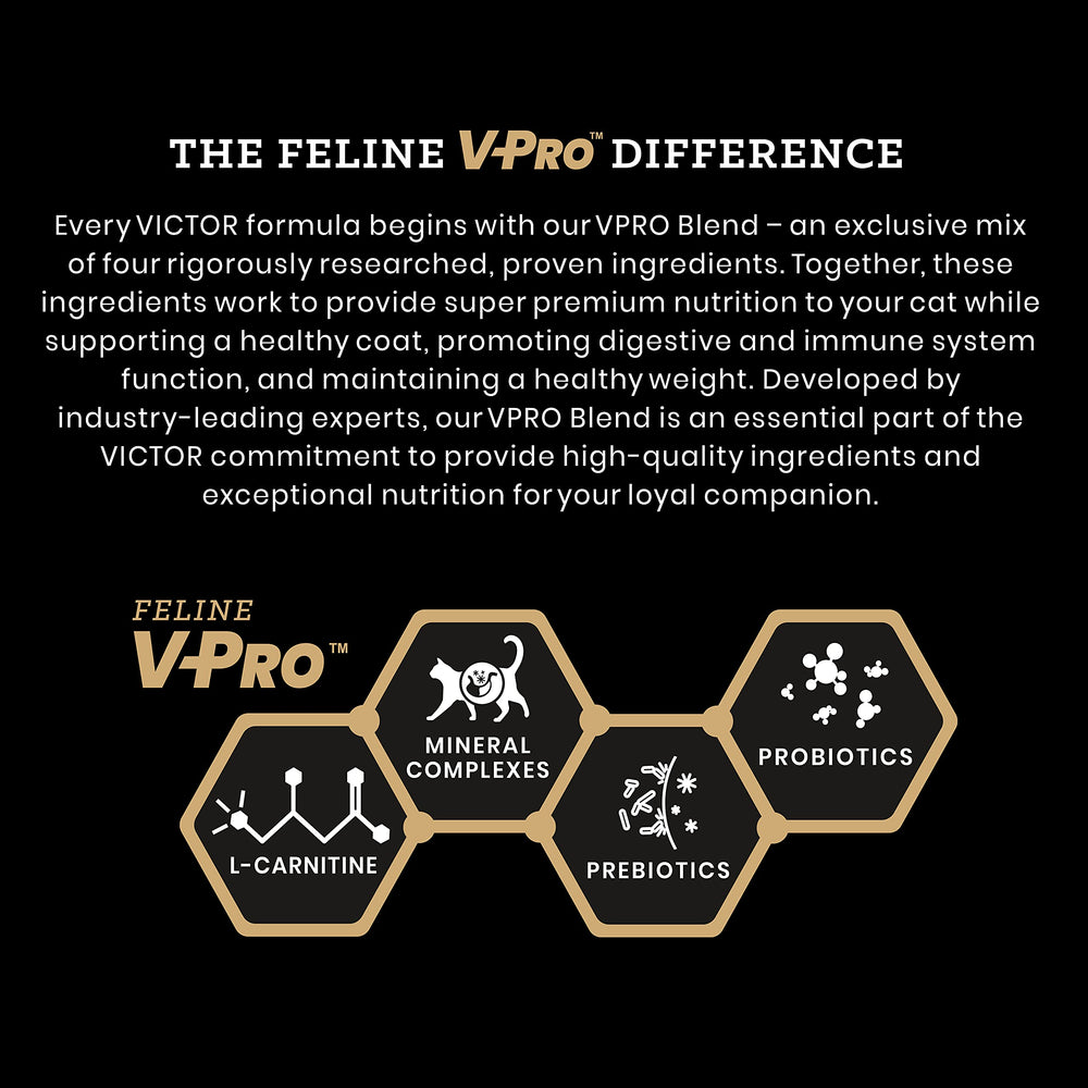 VICTOR-chat-melange-vpro-blend : pelage et digestion soutenus par le mélange VPRO.