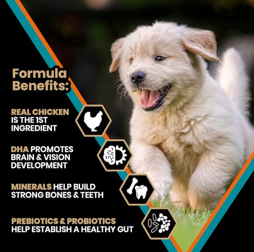 VICTOR Classic DHA pour chiot – développement cérébral et vision.