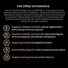 VICTOR Classic omega-3-6 – peau et pelage nourris.