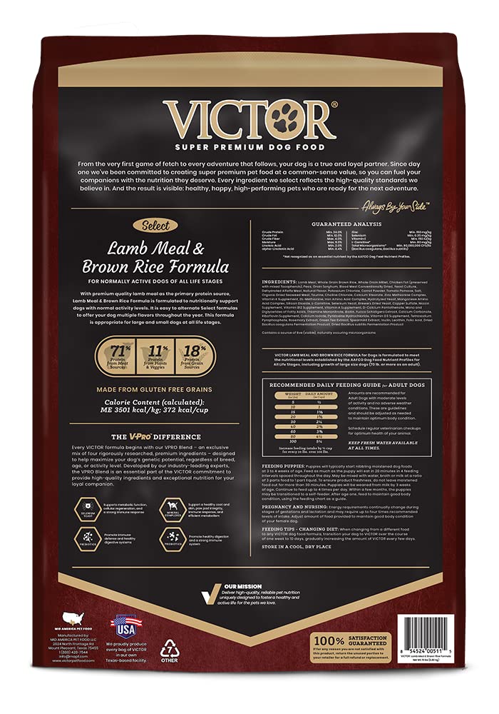 VICTOR croquettes chien agneau riz brun – portion pratique pour repas quotidiens.