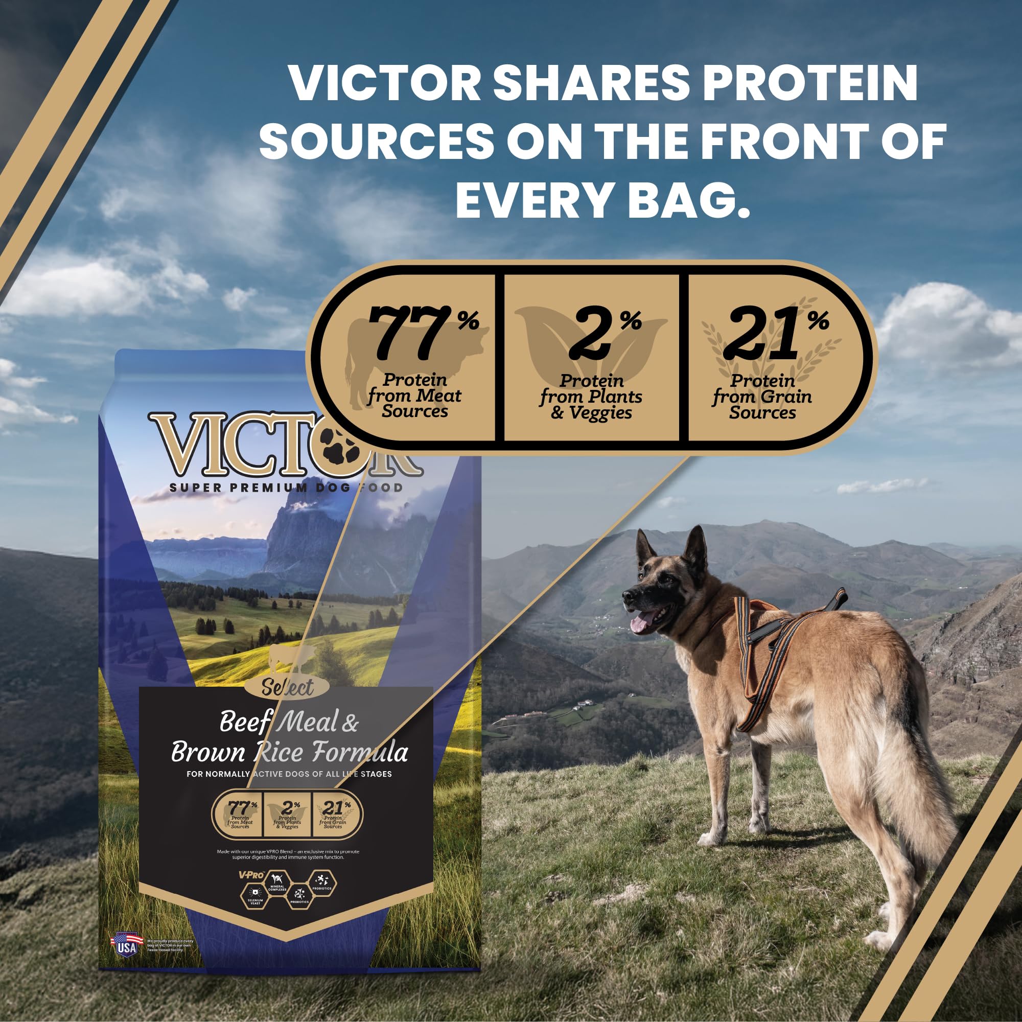 VICTOR blend digestible VPRO, illustration du soutien digestif.