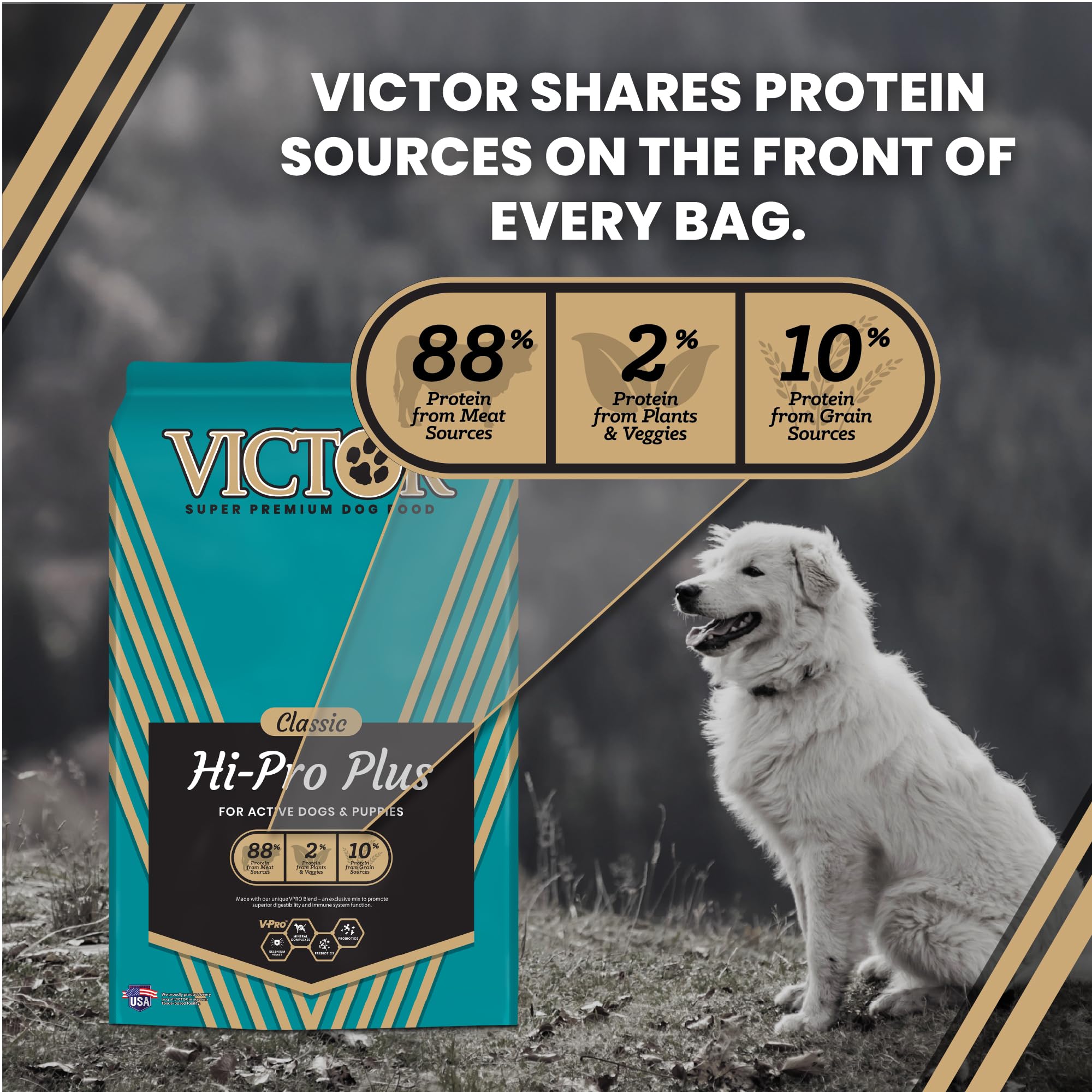 VICTOR Hi-Pro Plus – bol de croquettes, repas quotidien nutritif.