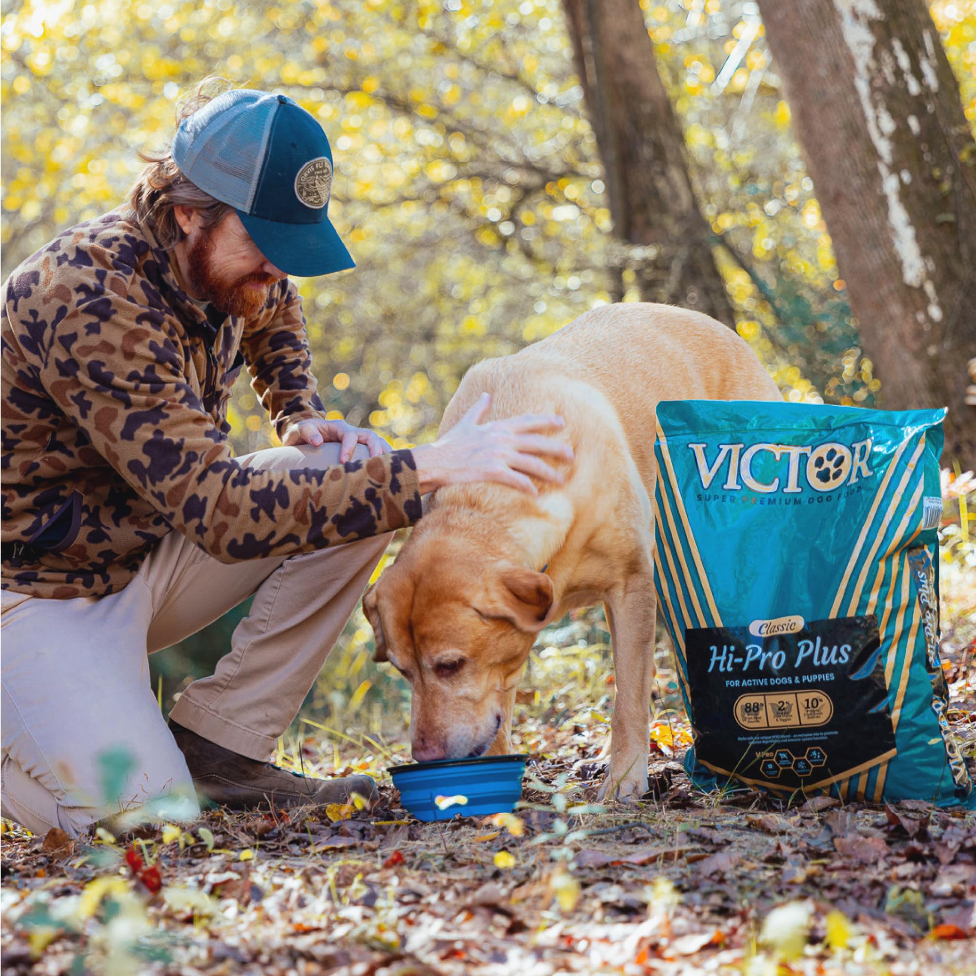 VICTOR Hi-Pro Plus – chien actif en train de courir, énergie soutenue.