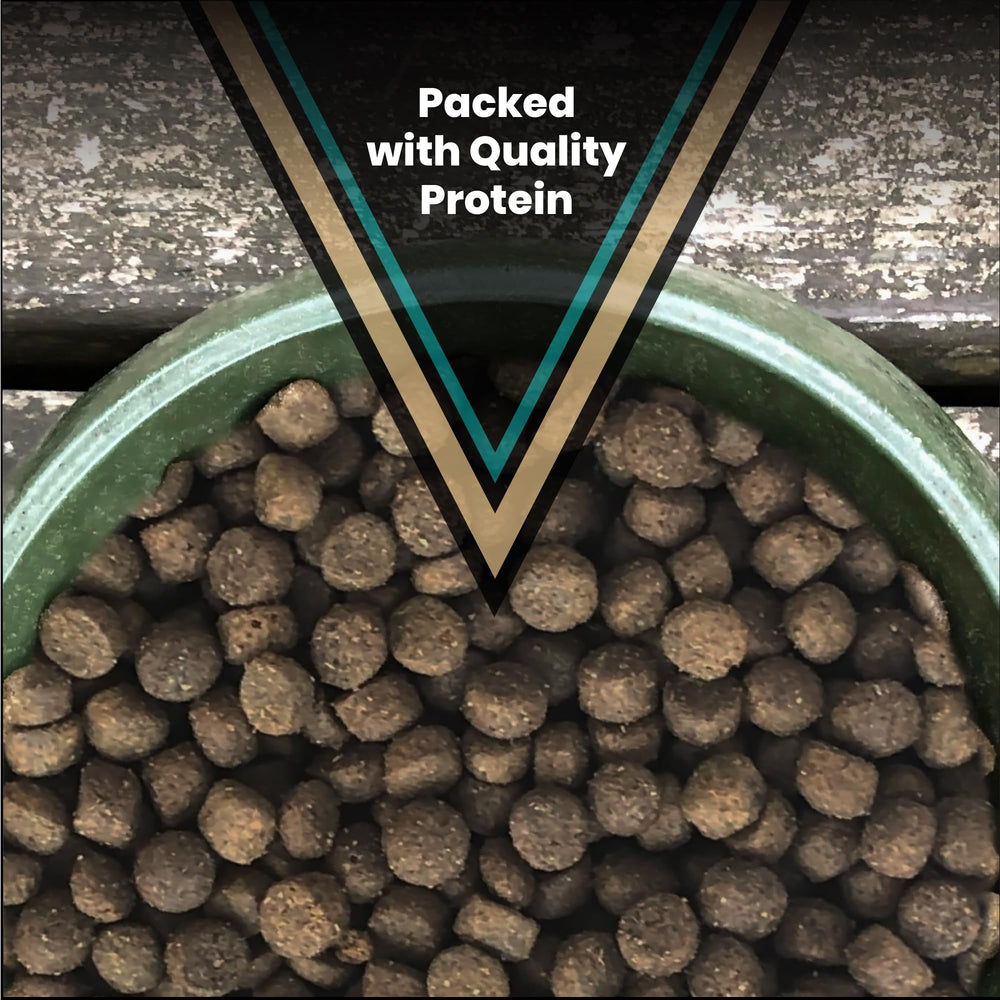VICTOR Hi-Pro Plus – détail des croquettes, texture croquante appréciée.