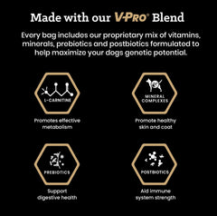 VICTOR Hi-Pro Strips mélange VPRO, soutien au métabolisme et à la peau saine