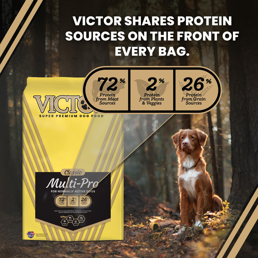 VICTOR Multi-Pro Sec: protéines d'origine animale pour tous les âges et tailles.