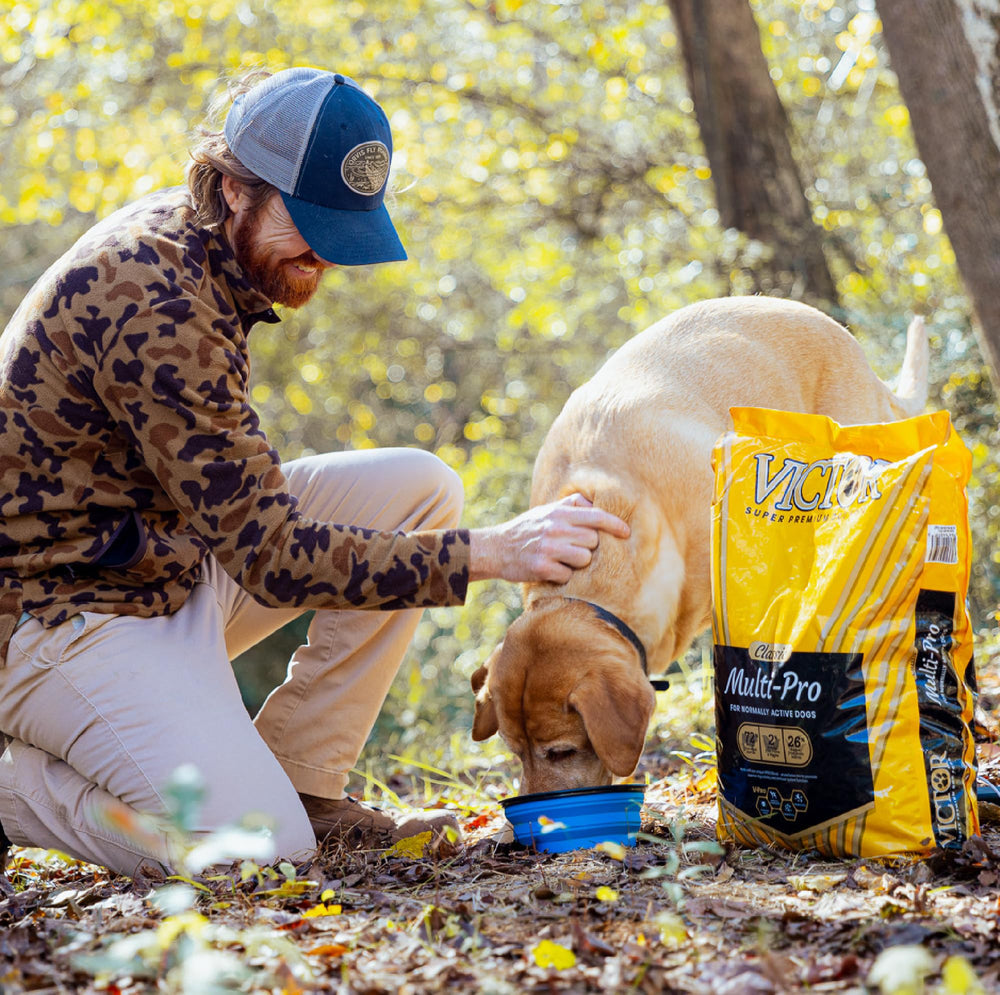 VICTOR Multi-Pro Sec: granulés sans gluten favorisant digestion et énergie durable.