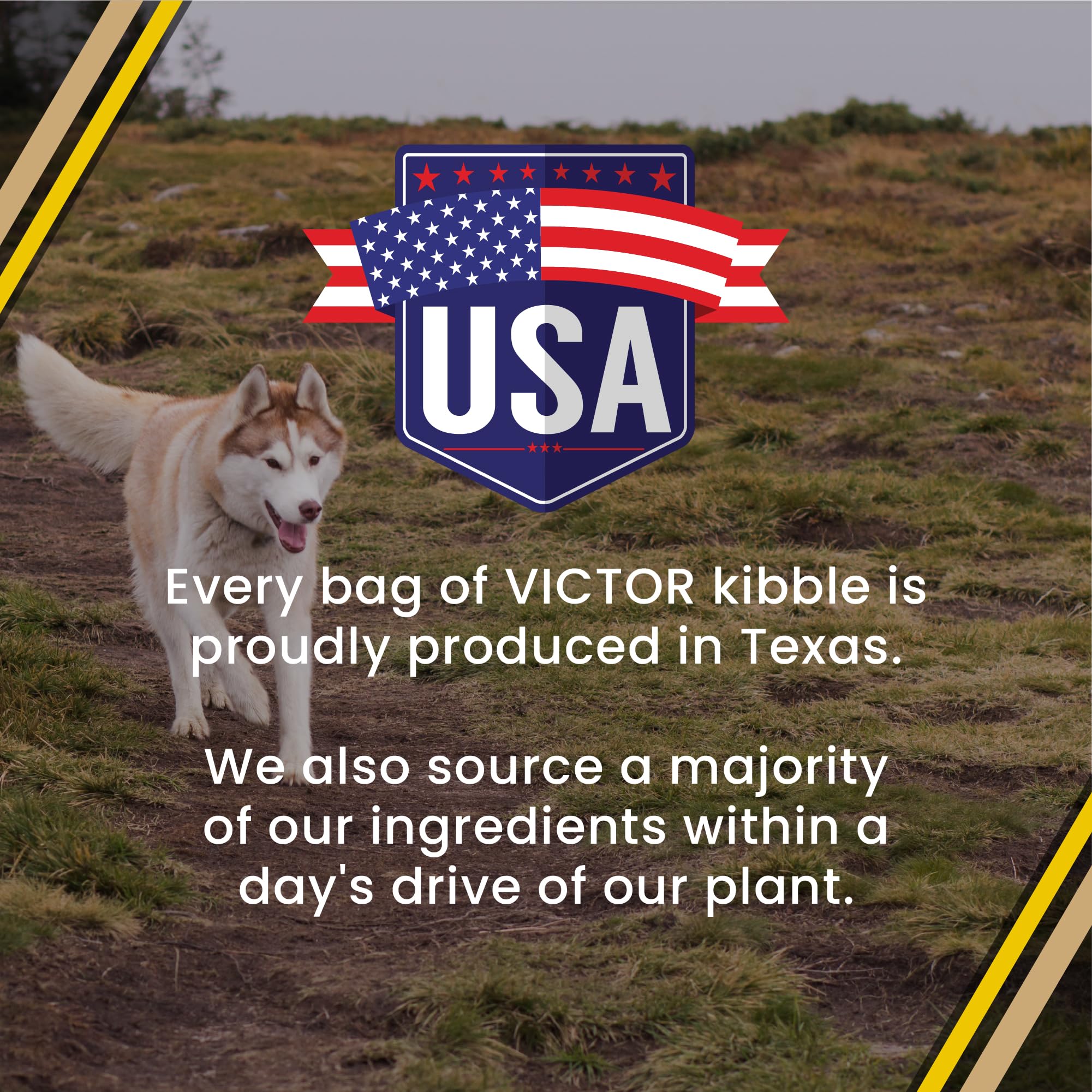 VICTOR Multi-Pro Sec: formule adaptée à toutes les étapes de vie du chien.