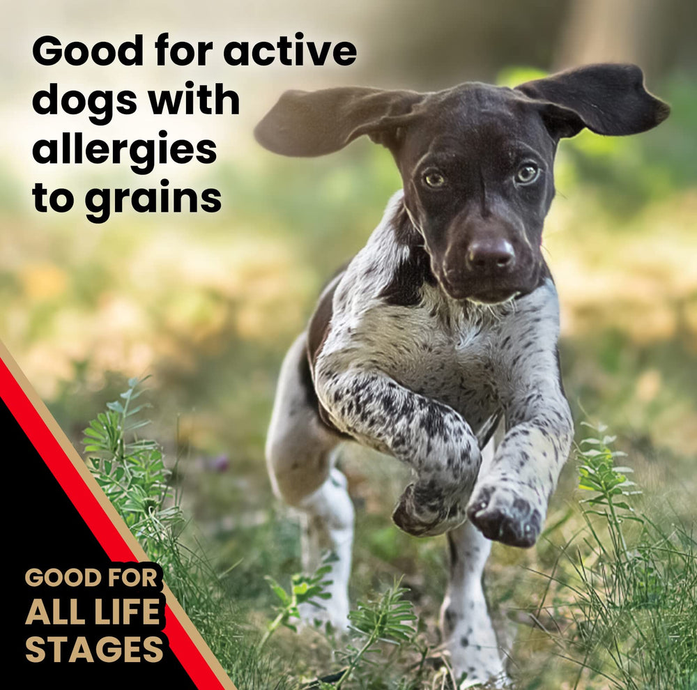 Croquettes Victor sans allergènes pour chiens sensibles au grain.