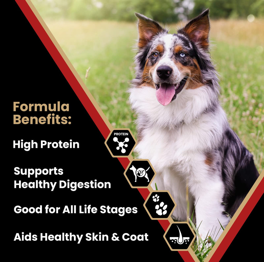 VICTOR Nutra Pro – protéines multi-viandes pour chiens actifs.