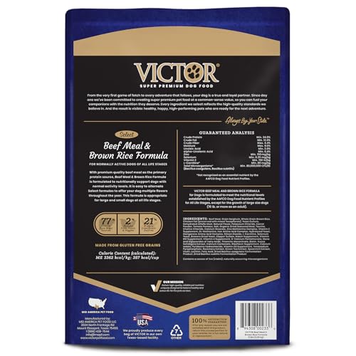 VICTOR protéine boeuf: bouchée digeste et savoureuse.