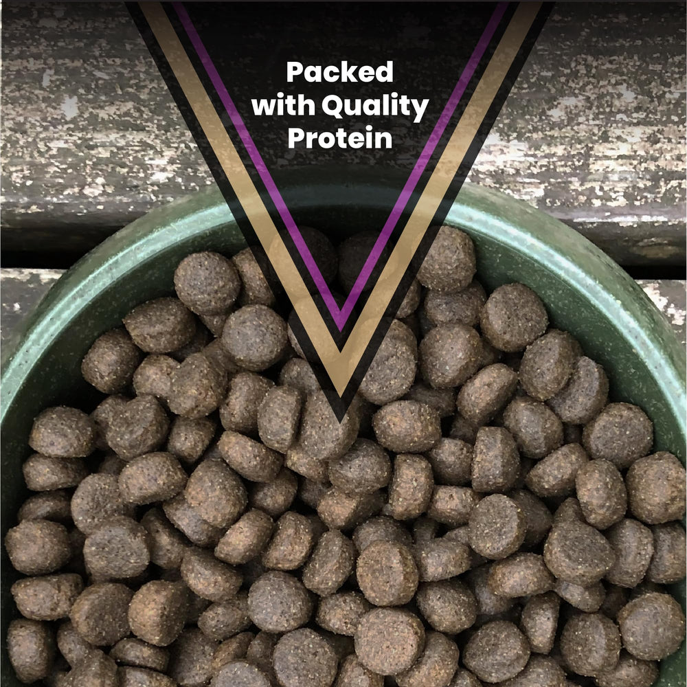 VICTOR sans-gluten-cereales: formule sans gluten adaptée à tous les chiens.