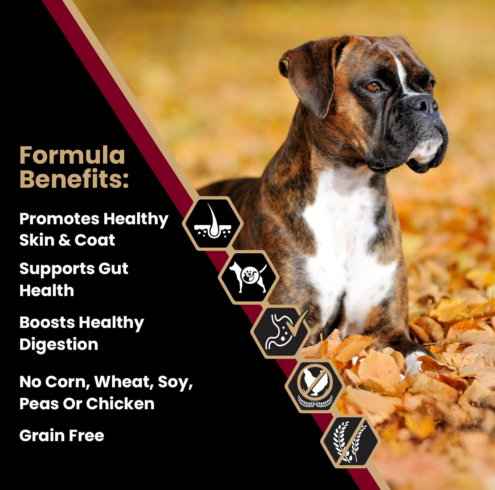 VICTOR sans gluten croquettes agneau patate douce pour chiens sensibles