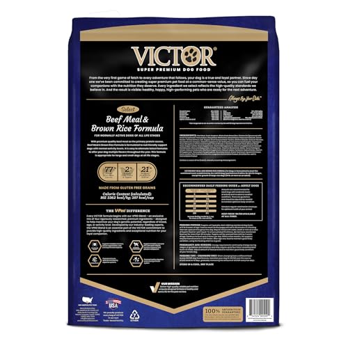 VICTOR Super Premium Chien - bol croquettes boeuf riz brun pour énergie durable.