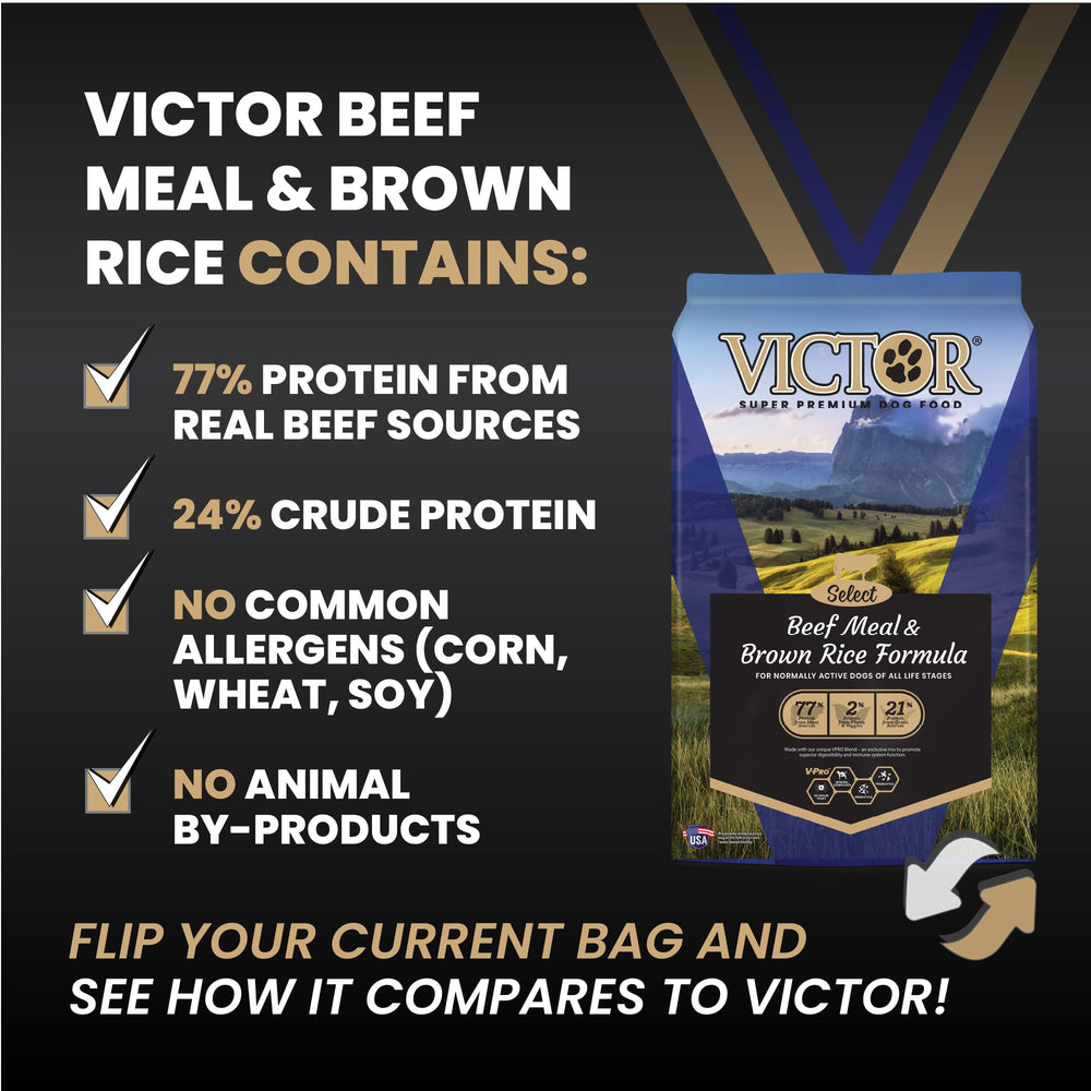 VICTOR Super Premium Chien - fabrication aux Etats-Unis, contrôle qualité.