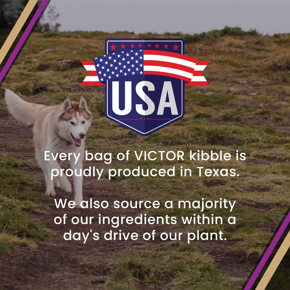 VICTOR usine-texas-traçabilite: traçabilité locale et qualité garantie.