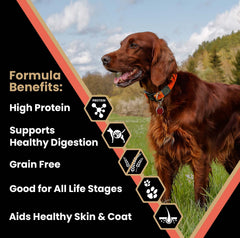 VICTOR Yukon River Canine: croquettes sans céréales avec texture adaptée et digestibilité potentielle.