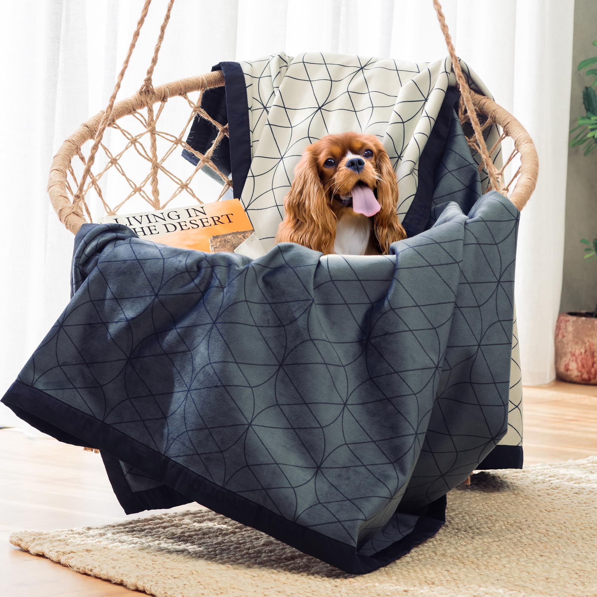 Victoria Orton: couverture chien imperméable pour lit 45x60, protège le mobilier.