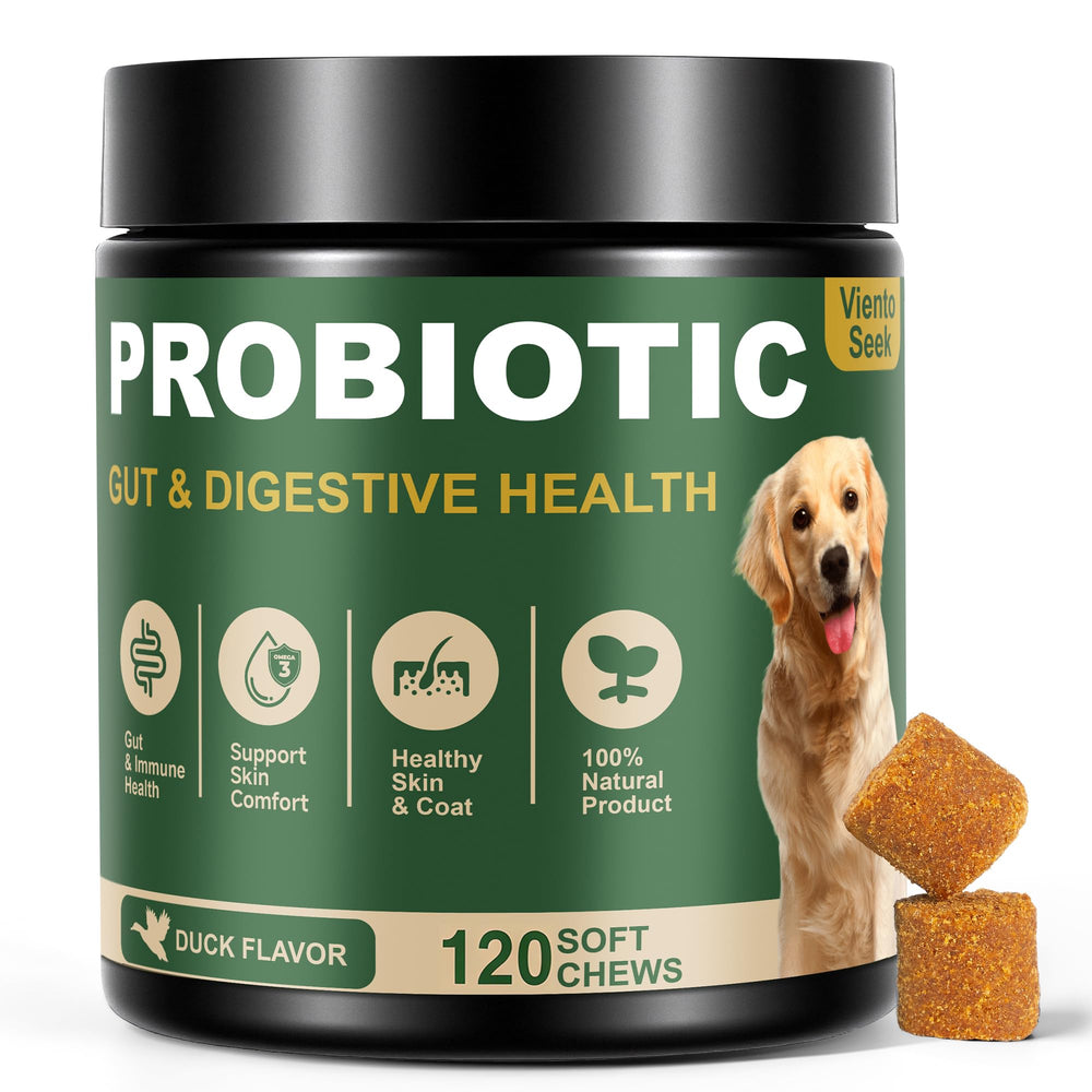 VientoSeek Probiotiques pour chien: bouteille prête à l’emploi soutenant le confort digestif.