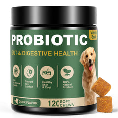 VientoSeek Probiotiques pour chien: bouteille prête à l’emploi soutenant le confort digestif.