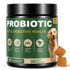 VientoSeek Probiotiques pour chiens – emballage montrant le produit et soutien digestif.