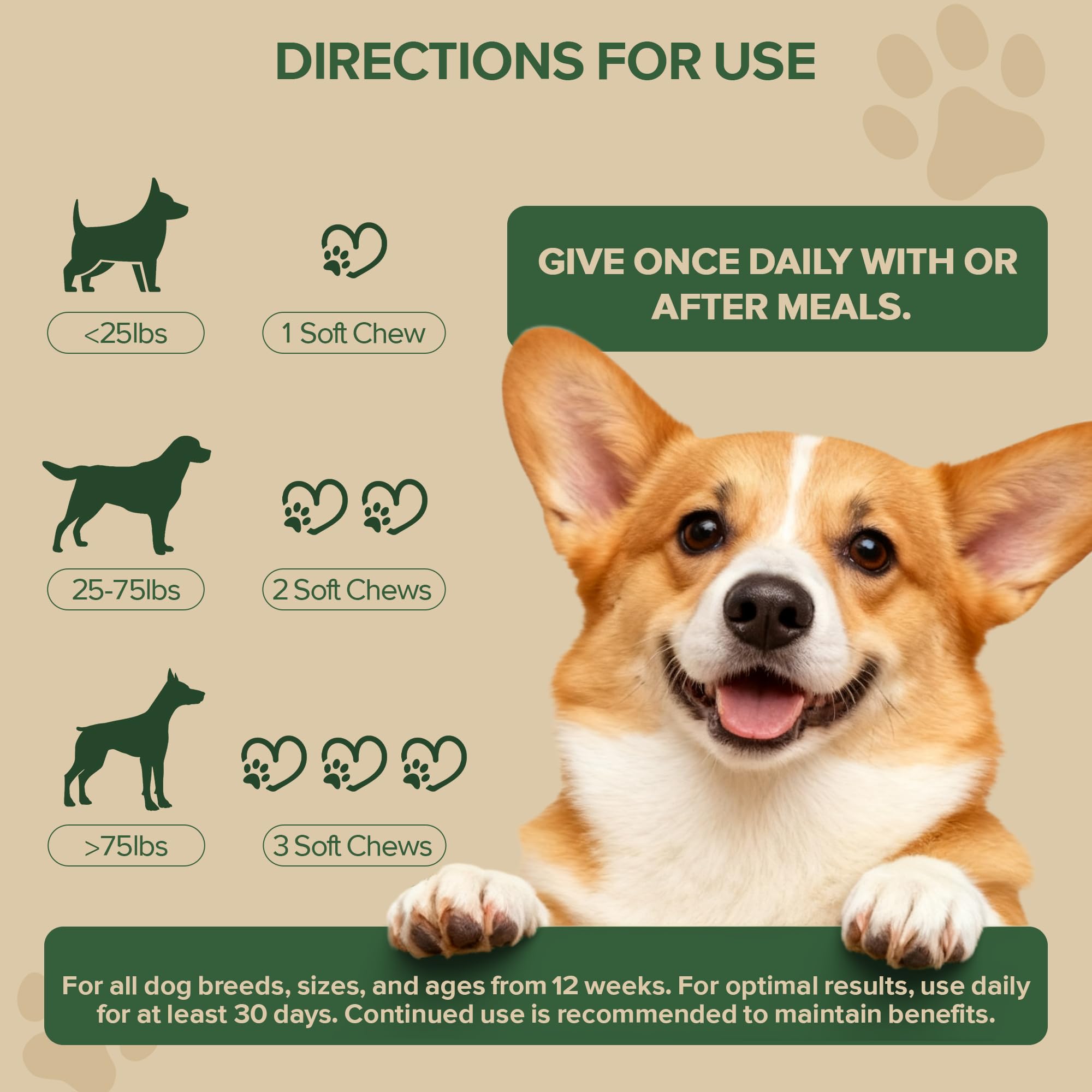 Support client réactif prêt à aider pour votre chien.