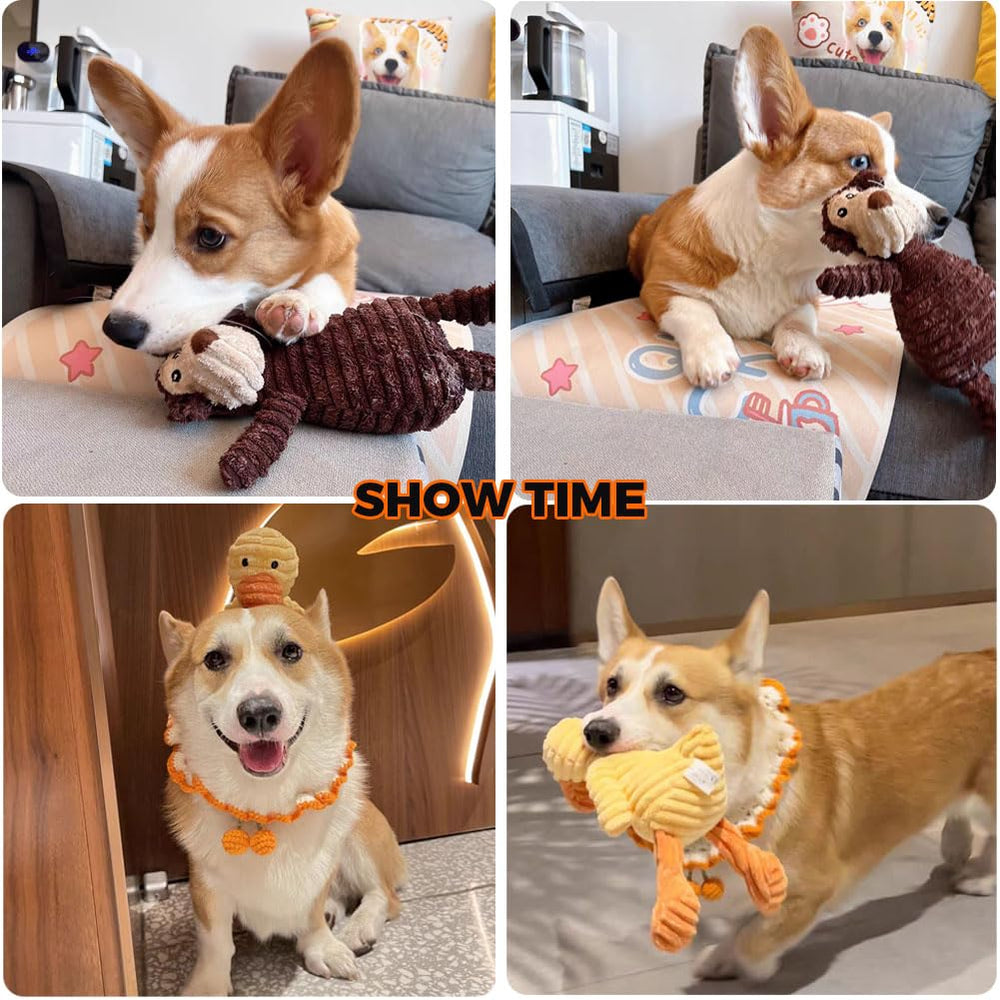 Ensemble-cinq-jouets-doux VIFINE, pack polyvalent pour tous les chiens.