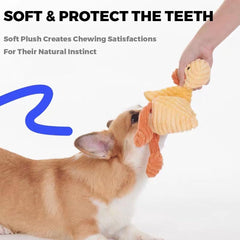 Jouet chien couineur VIFINE, idéal pour sessions ludiques et interaction.