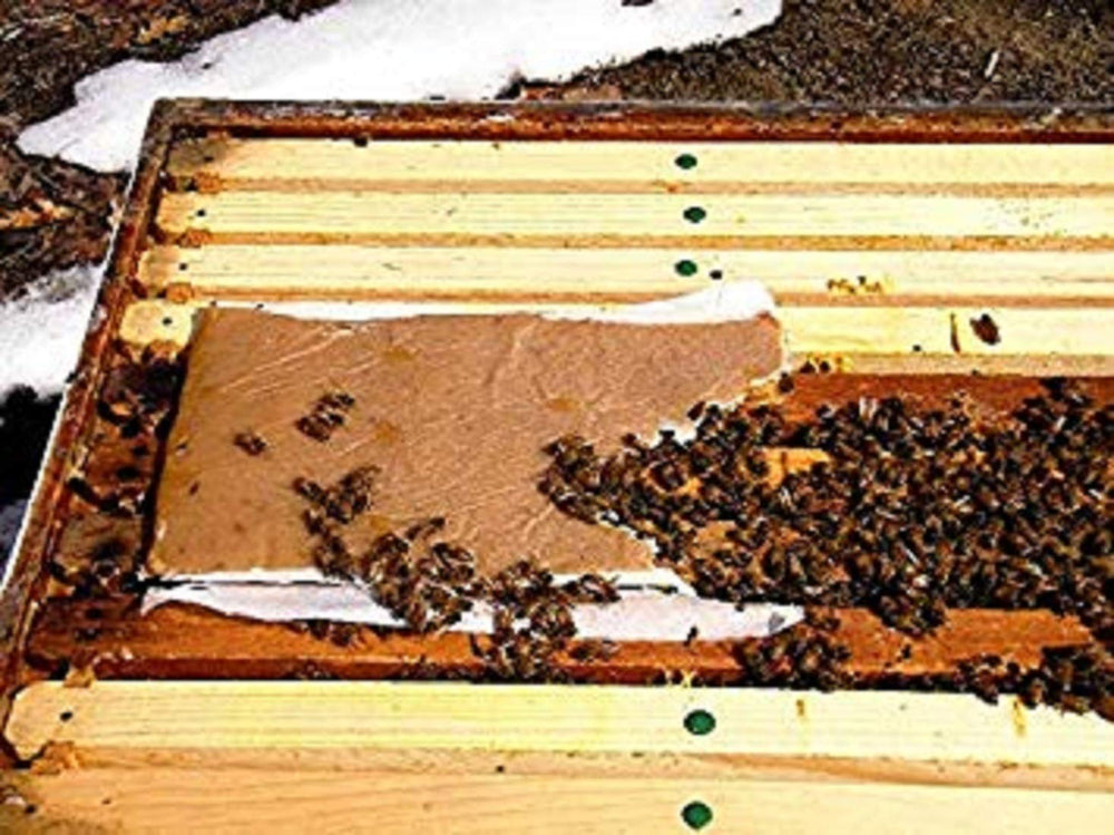 Pâte de pollen Village Gift Importers, nutrition optimale pour les colonies.