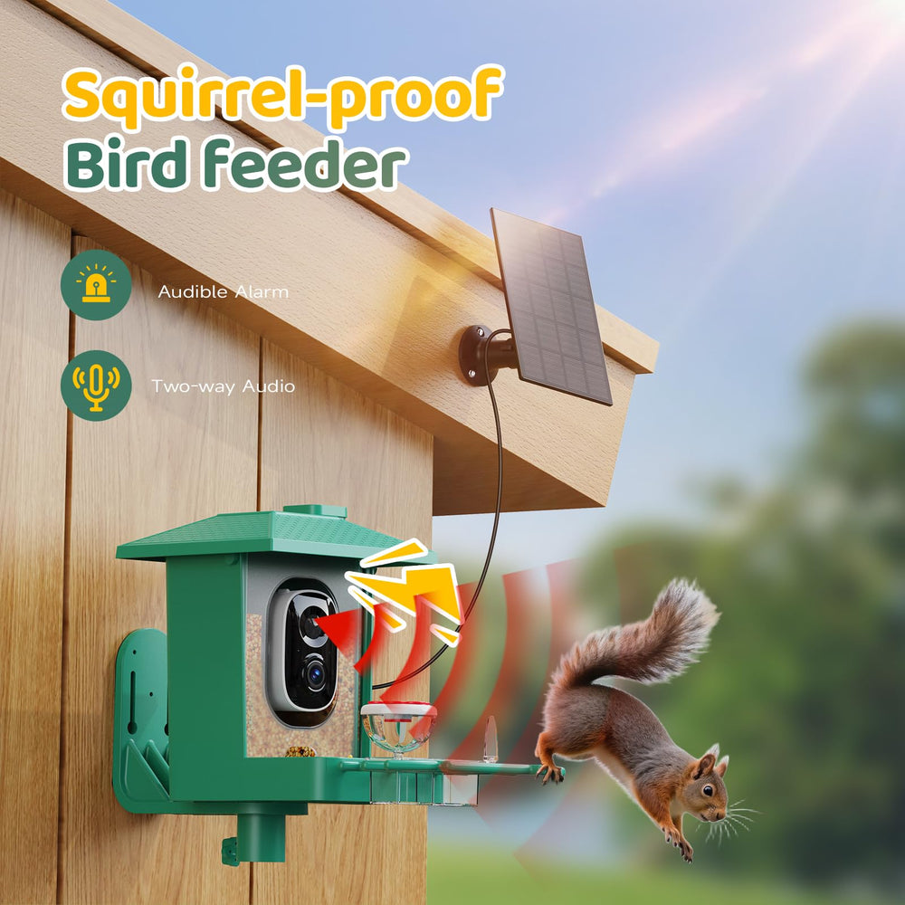 VIMKIM cadeau idéal pour les passionnés d’oiseaux et la famille.