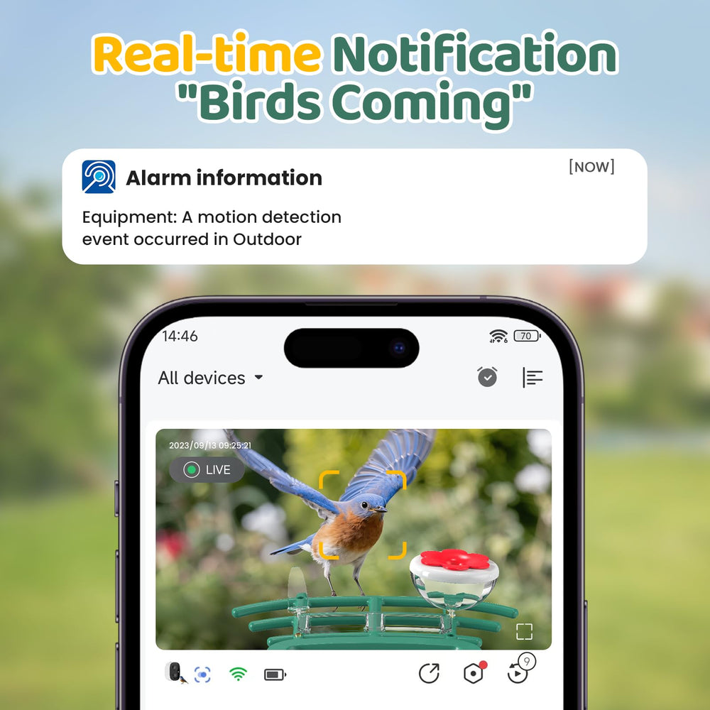 VIMKIM caméra 2K haute définition pour voir les plumes et les couleurs.