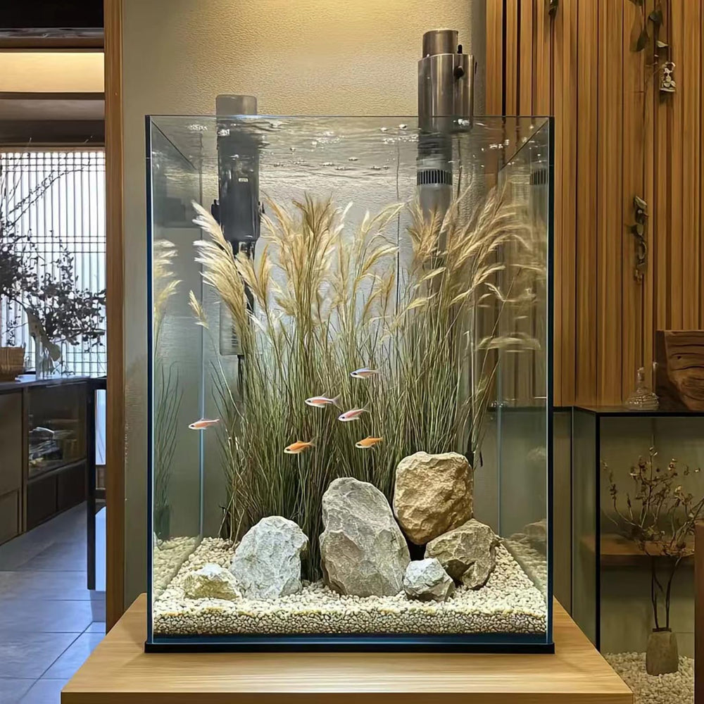 Vimvins aquarium ecosystème petit, solution polyvalente pour aquascaping.