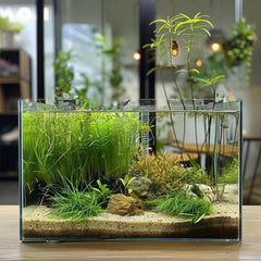 Bac Vimvins 19 L idéal pour Betta et petits poissons colorés.