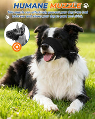 VINCHINI masque maille respirable, permet au chien de respirer et de boire.