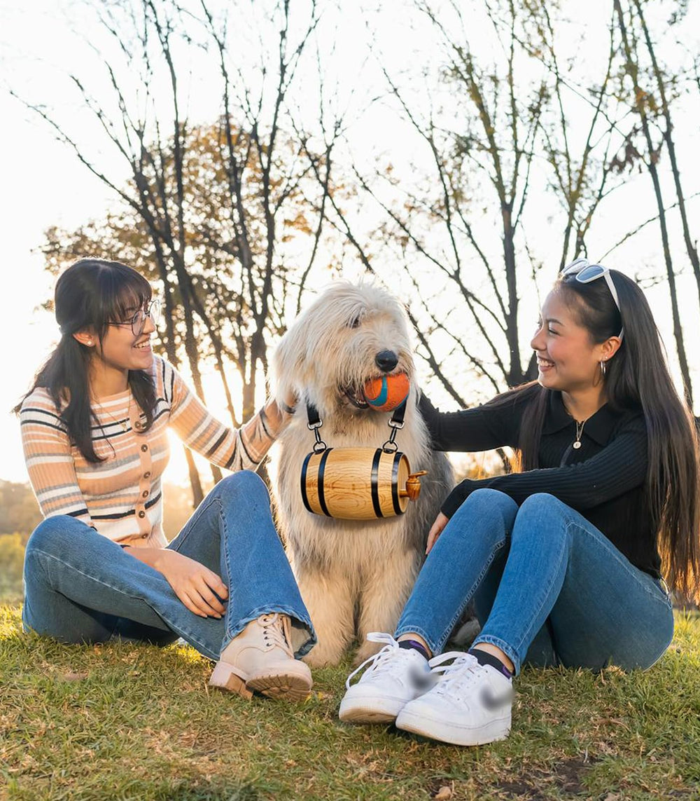 VINGGKL anneaux réglables collier chien, ajustement sûr et confortable.